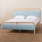 Baxton Studio Mateo Modern and Contemporary Baby Blue Fabric and Natural Wood Queen Size Platform Bed 245-13448-ZORO - alternate 6